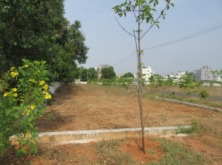 817862065-2) Li id 409 - Pic 3.JPG